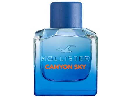 Hollister Canyon Sky For Him Eau de Toilette 100ml Online Sale