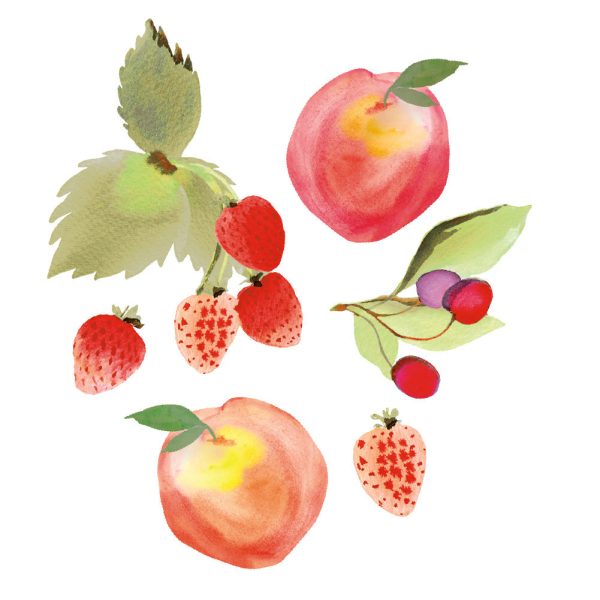 Peach & Berry Medley Removable Wall Decals Supply