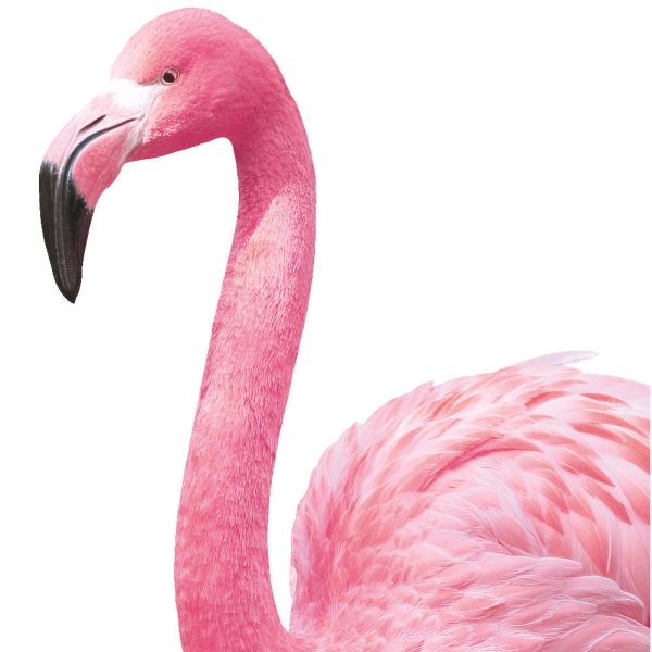 Flamingos Removable Wall Decals Supply