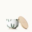 Thymes Frasier Fir Candle Tin with Gold Lid Online now