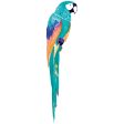 Parrot Wall Decal Online now