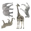 Safari Animals Removable Wall Decals Online