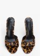 Kate Brown Leopard Online now