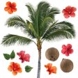 Palm Tree Removable Wall Decals For Sale