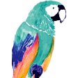 Parrot Wall Decal Online now