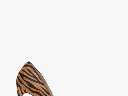 Anja Brown Zebra Online now