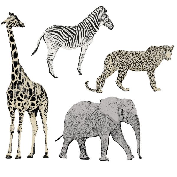 Safari Animals Removable Wall Decals Online