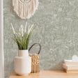 Jungle Toile Peel and Stick Wallpaper For Discount